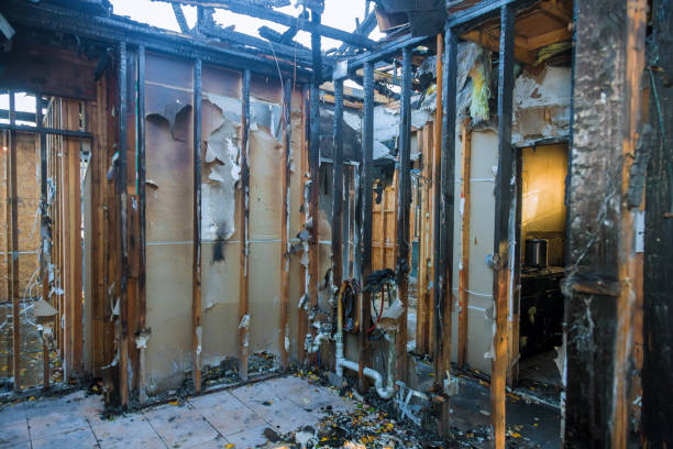 Professional Fire Damage Removal technician working in Bothell, WA