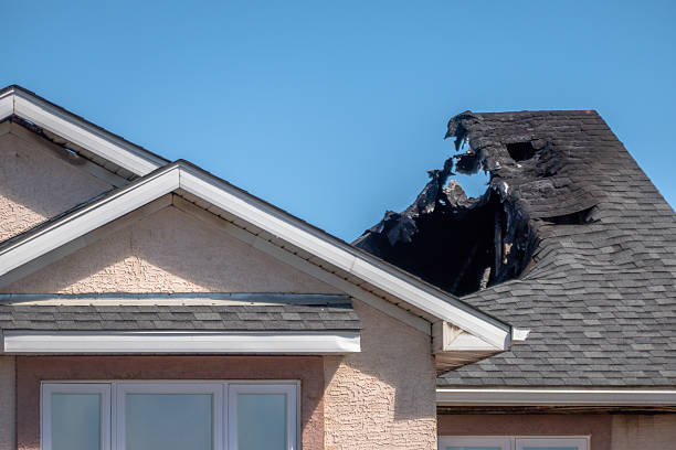 Top rated local Fire Damage Removal specialists in Bothell, WA